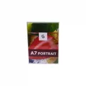 Acrylic Single Side Menu Holders - Portrait