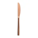 Comas BCN Copper Dessert Knives (12 Pack) - Image 2