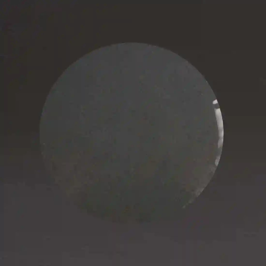 Burger Plastic Discs 100mm (Pack of 5000) - Image 1