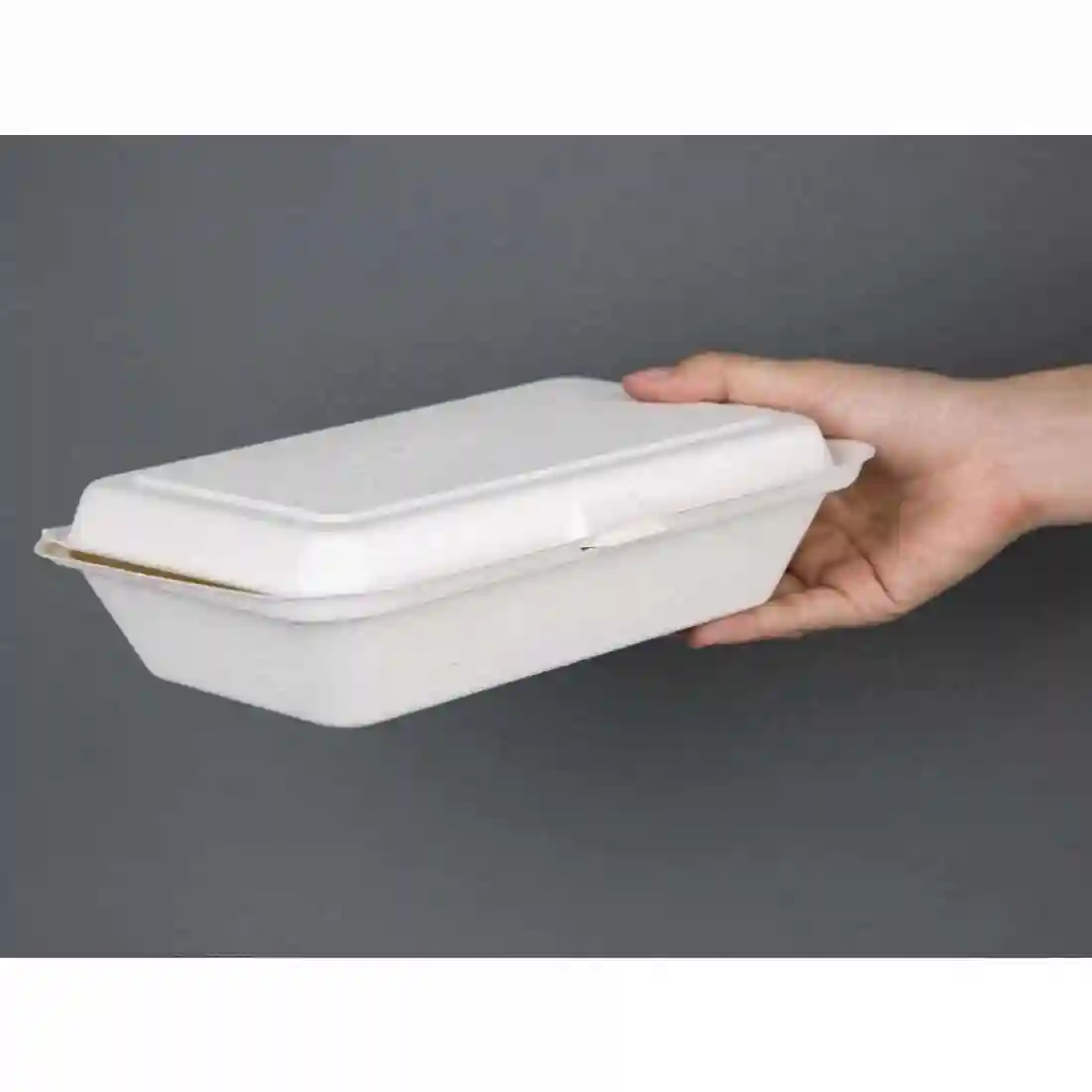 Fiesta Compostable Bagasse Hinged Food Containers 248mm - Image 3