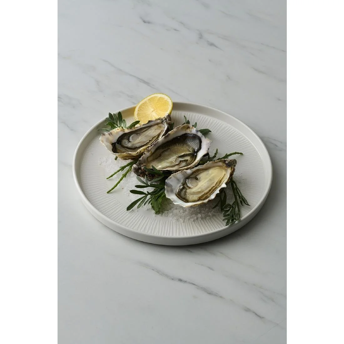 Churchill Bamboo White Walled Plates 260mm (6 Pack) - Image 1