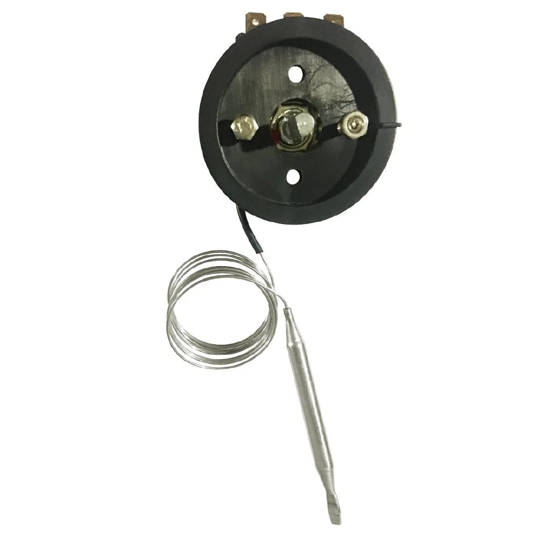 Buffalo Thermostat - Image 1