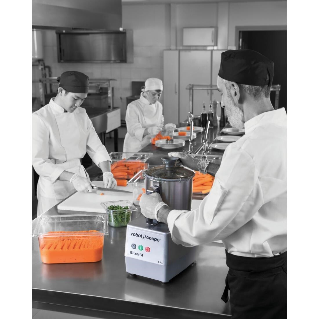 Robot Coupe Blixer 4