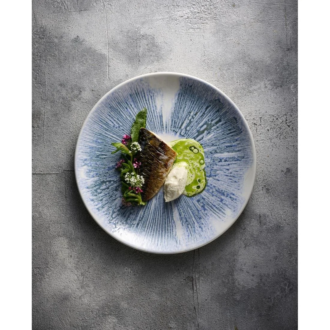 Churchill Lyra Blue Evolve Coupe Plates 165mm (12 Pack) - Image 2