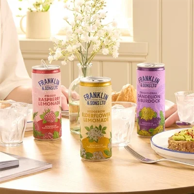 Franklin & Sons Hedgerow Elderflower Lemonade Cans 250ml (12 Pack) - Image 1
