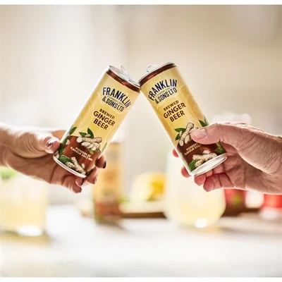 Franklin & Sons Brewed Ginger Beer Cans 250ml (12 Pack) - Image 1