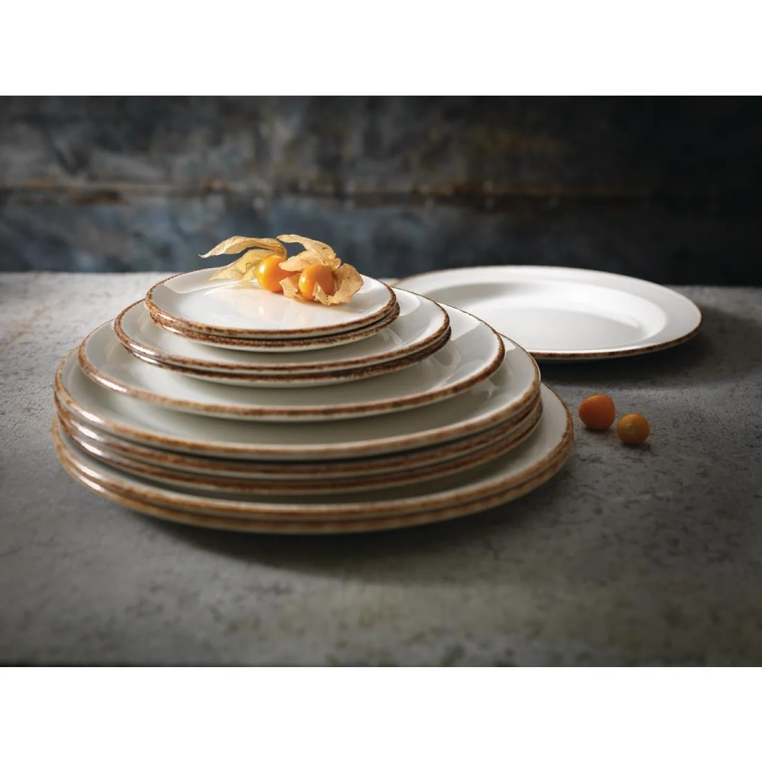 Steelite Brown Dapple Coupe Plates 253mm