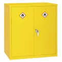 Double Door Hazardous Substance Cabinet 30Ltr