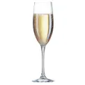 Chef & Sommelier Cabernet Tulip Champagne Flutes 240ml
