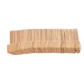 Fiesta Compostable Wooden Ice Cream Spoons (Pack of 100) - Image 2