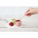Fiesta Compostable Wooden Ice Cream Spoons (Pack of 100) - Image 6
