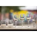 Olympia Rosario Tumblers 350ml (6 Pack) - Image 6
