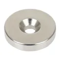 Buffalo Magnet - Image 1