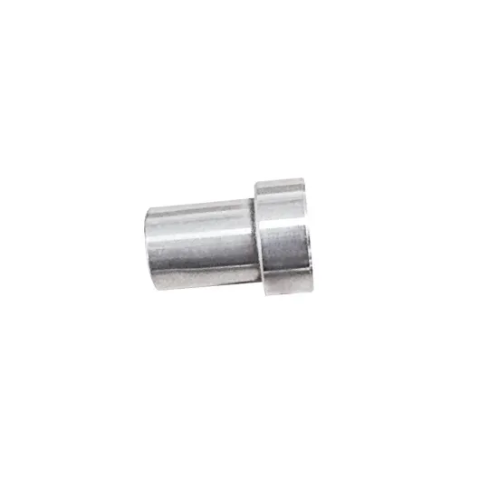 Polar Bushing