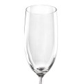 Chef & Sommelier Cabernet Tulip Champagne Flutes 240ml