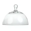 Utopia Glass Cloche - Image 4