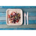 Fiesta Compostable Palm Leaf Plates Square 200mm (100 Pack) - Image 2
