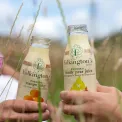 Folkington's Juices Mango Glass Bottle 250ml (12 Pack) - Image 3