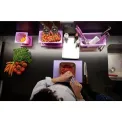 Pujadas Purple Polinorm Gastronorm Lid 1/3GN - Image 3