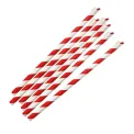 Fiesta Compostable Paper Spoon Straw Red & White Stripe 210x8mm (250 Pack) - Image 2