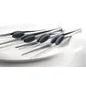 Deglon Straight Fish Bone Tweezer Bevelled Ends 12cm - Image 4