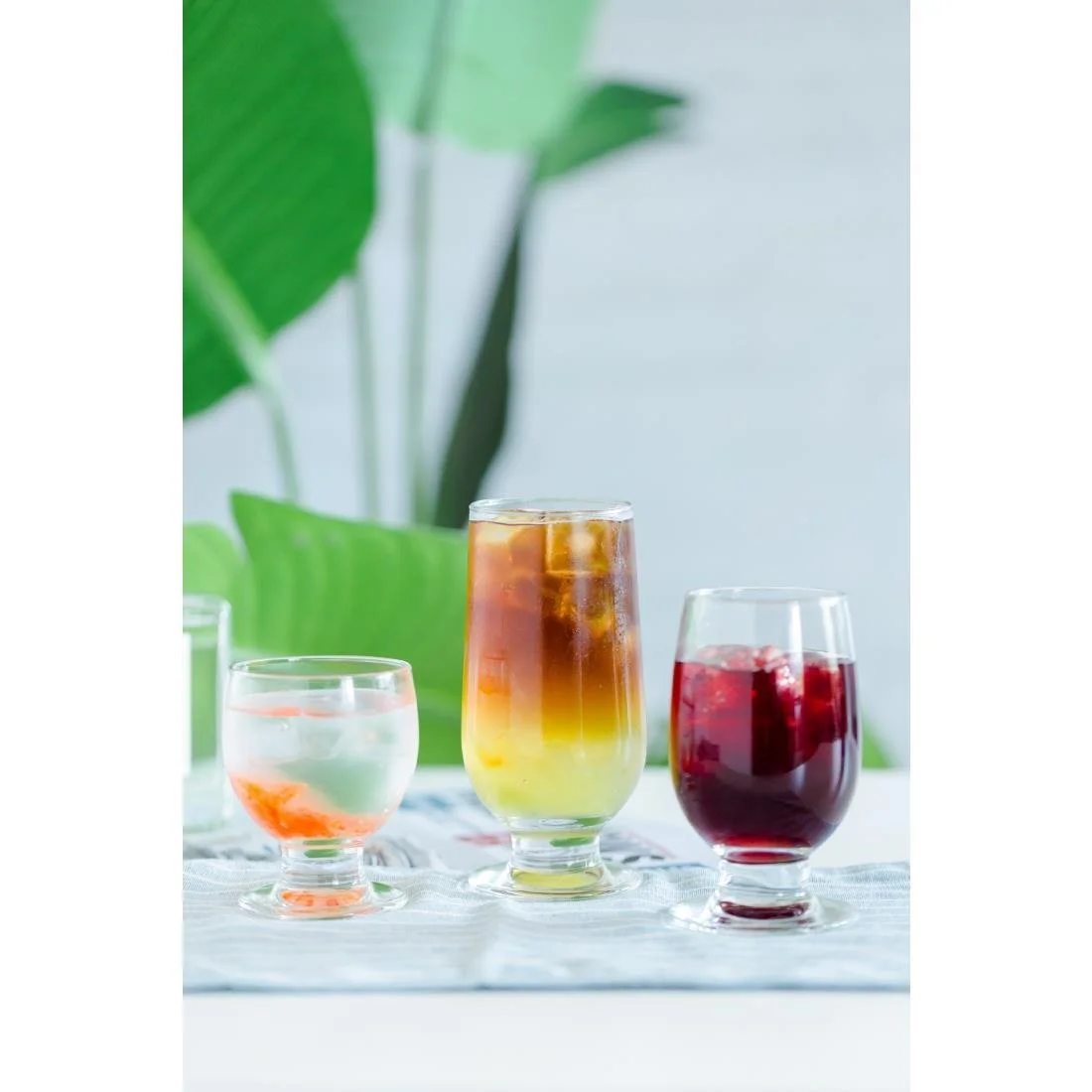 Sequoia Short 175ml ( 12 Pack) - Image 3