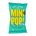 Popcorn Shed Salt & Vinegar Mini Pop! Single Serve Bag 22g (24 Pack) - Image 1