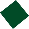 Fasana Professional Tissue Napkin Green 330mm
