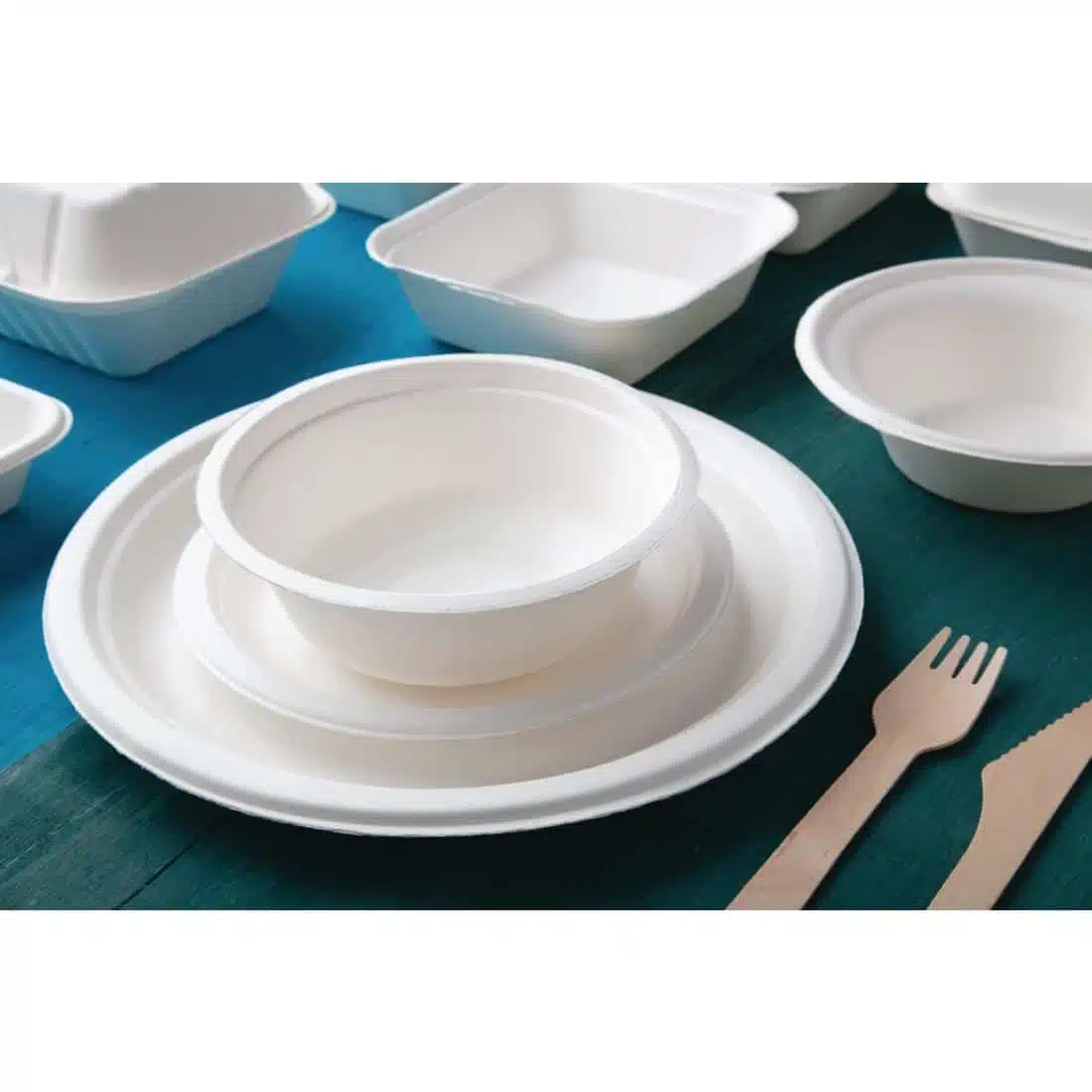 Fiesta Compostable Bagasse Bowls Round 10oz (Pack of 50) - Image 8