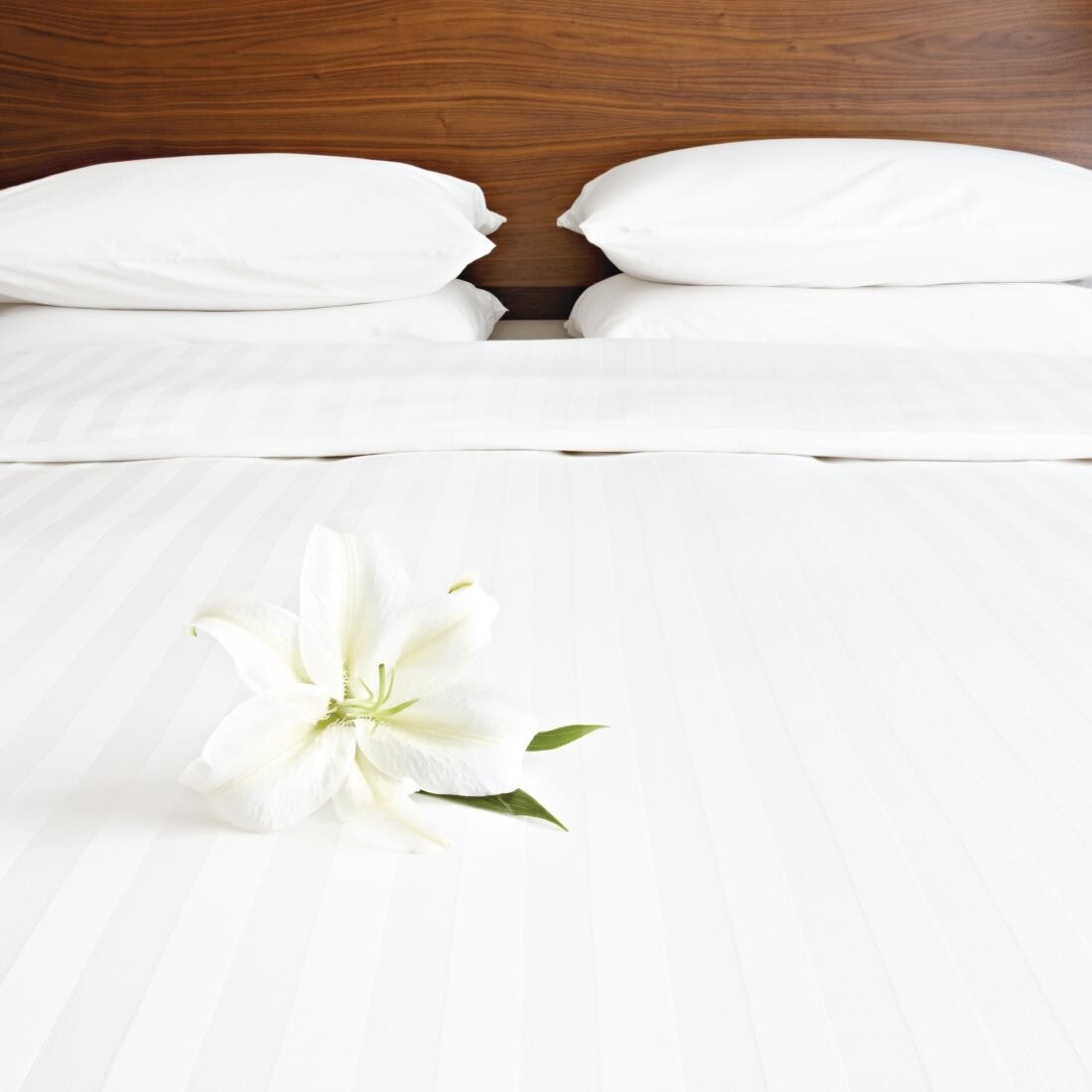 Mitre Comfort Satin Duvet Cover White Double