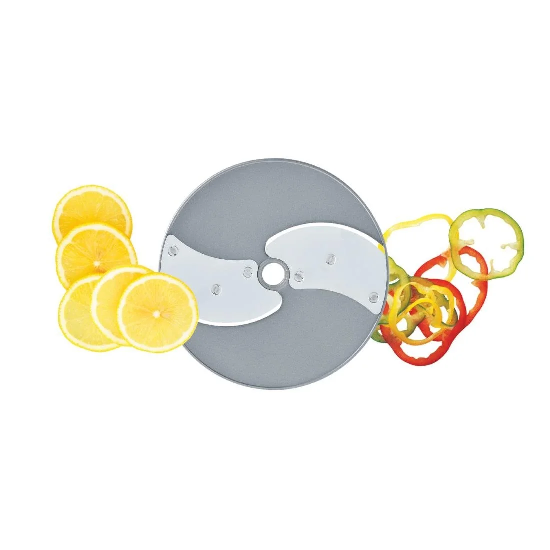 Robot Coupe Expert Mineral 2mm Slicer Disc 28063W - Image 2