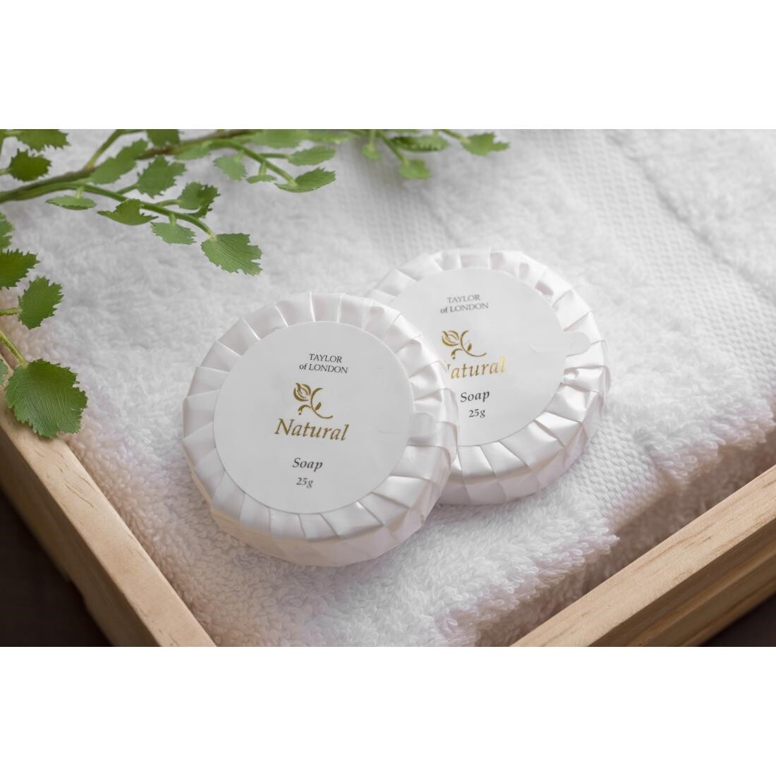 Natural Range Tissue Pleat Soap