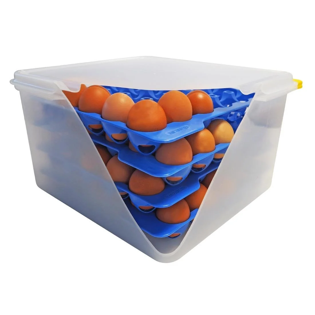 Araven Airtight Container with 4 Egg Trays GN 2/3 200mm - Image 1