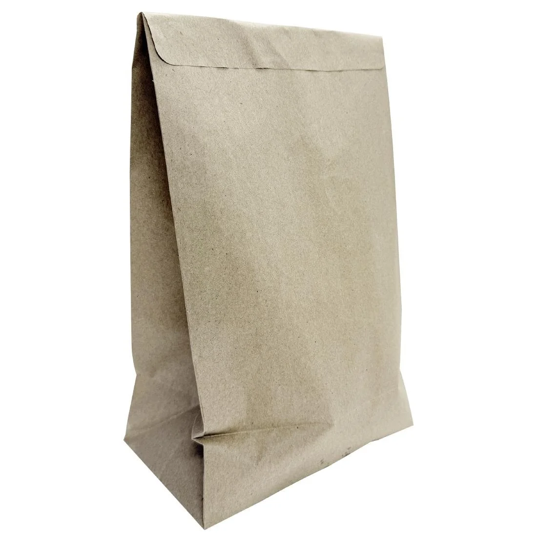 Fiesta Recyclable Sealable Takeaway Bags Large (250 Pack) - Image 1