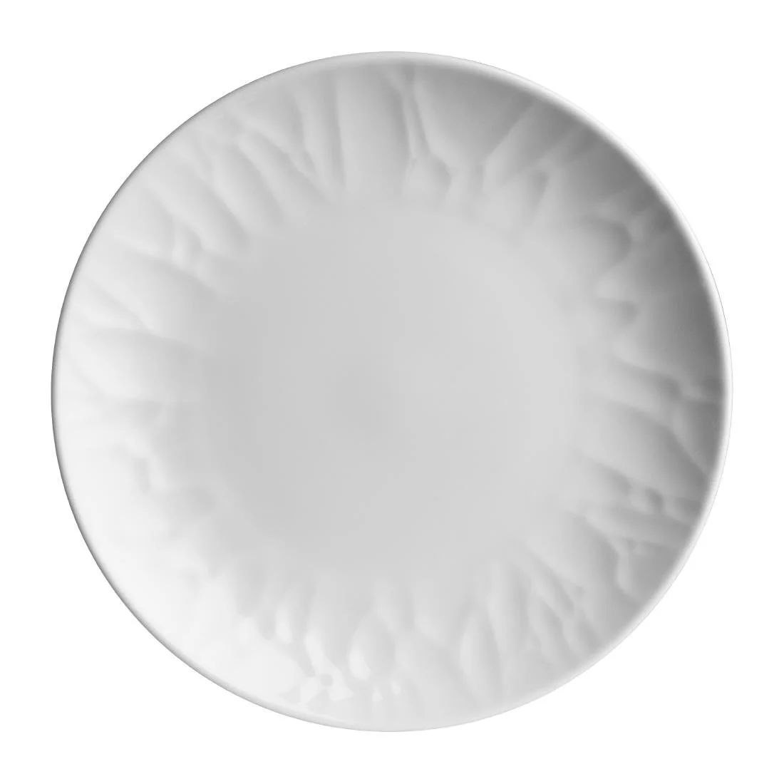 Steelite Atelier Coupe Plates 270mm (12 Pack) - Image 1