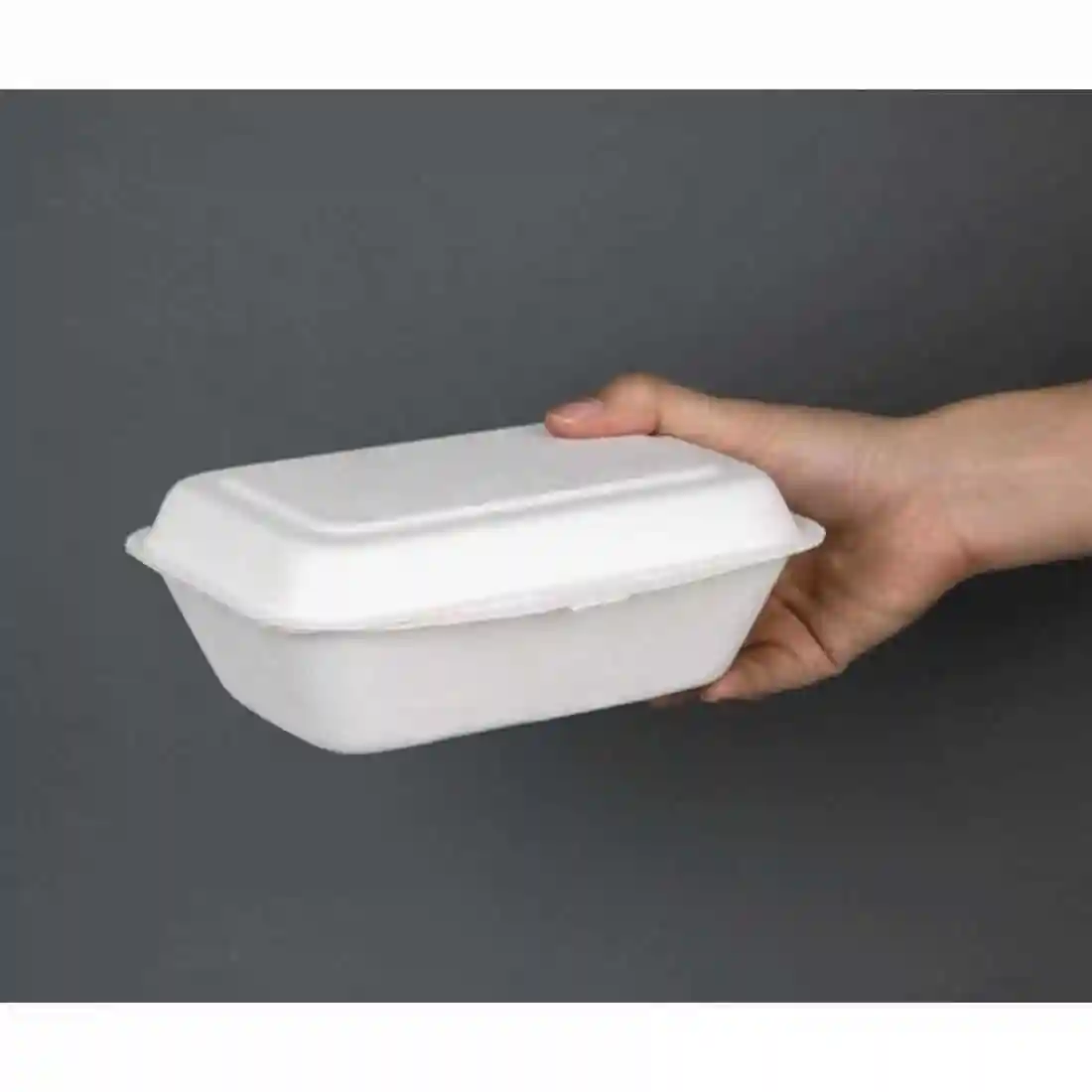Fiesta Compostable Bagasse Hinged Food Containers 182mm - Image 6