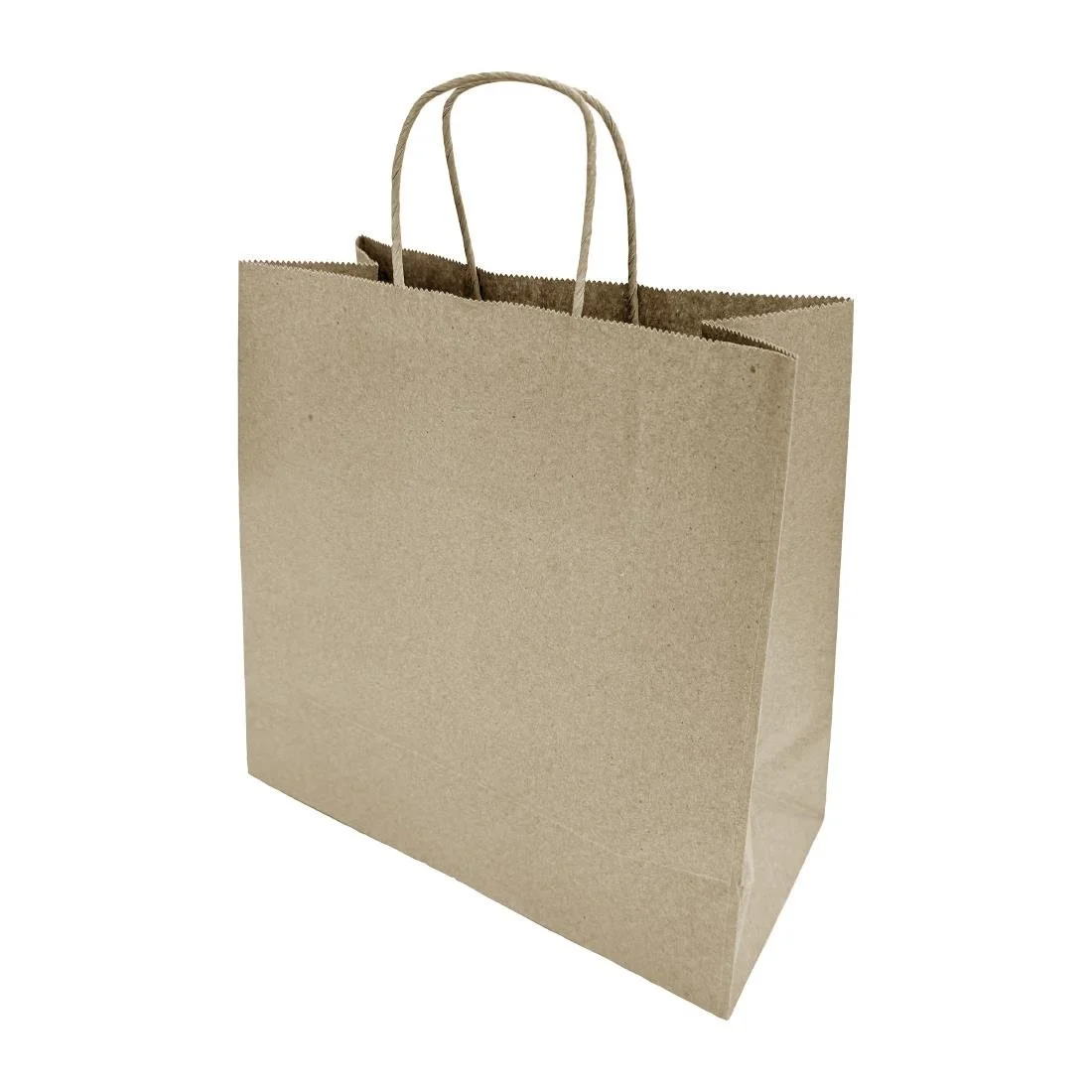 Fiesta Recyclable Twist Handle Brown Paper Bags Medium (250 Pack) - Image 1
