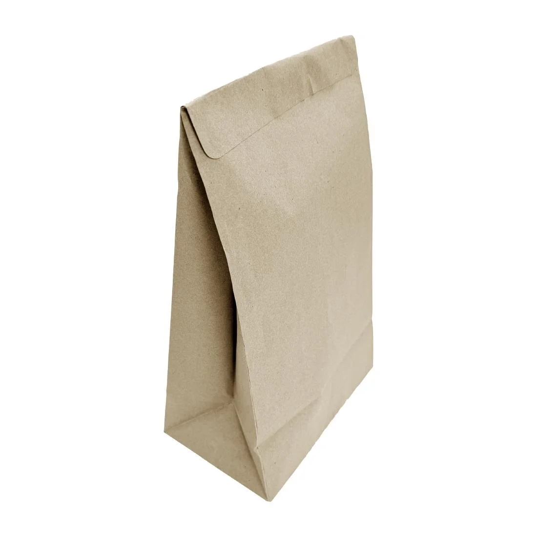Fiesta Recyclable Sealable Takeaway Bags Medium (250 Pack) - Image 1