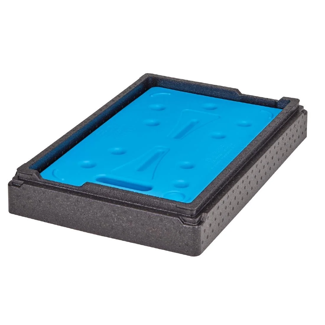 Cambro Cold Plate Camchiller Insert for Full Size Gastronorm Food Tray Carriers - Image 3