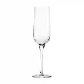 Nude Refine Flutes 200ml (24 Pack) - Image 1