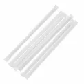 Fiesta Compostable Individually Wrapped Paper Straws Black (Pack of 250) - Image 5