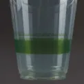 Vegware Compostable PLA Cold Cups 340ml / 12oz (Pack of 1000) - Image 7