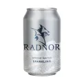 Radnor Spring Water Sparkling 330ml Can (Pack of 24) 0201062 - Image 1