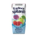 Radnor Hills Splash Water Tetra Pak Apple Raspberry 250ml (Pack of 24) 0201067 - Image 1