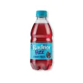Radnor Fizz Forest Fruits Soft Drink 330ml (Pack of 24) P-RS3SPFF/24 - Image 1