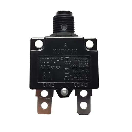 Buffalo Overload Switch