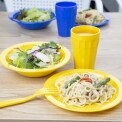 Kristallon Polycarbonate Plates Yellow 172mm
