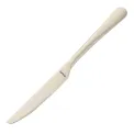 Amefa Table Knife Champagne (12 Pack) - Image 1
