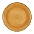 Churchill Stonecast Tangerine Coupe Plates 260mm (12 Pack)