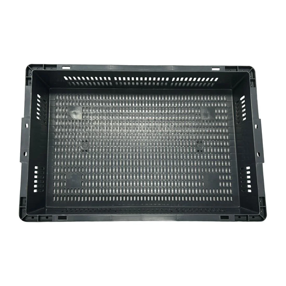 Vogue Perforated Plastic Storage Crate 600x400x120mm - Image 3